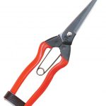 295 Forbici Raccolta Harvesting Snips 2